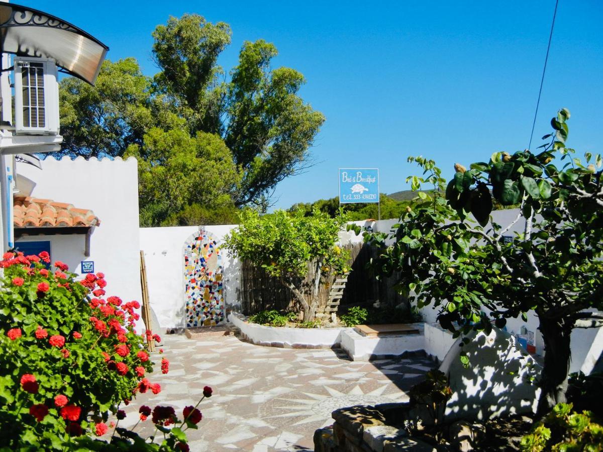 Alba B&B Carloforte  Exteriör bild